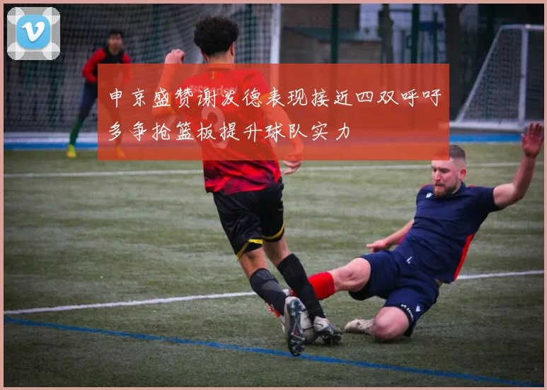 申京盛赞谢泼德表现接近四双呼吁多争抢篮板提升球队实力