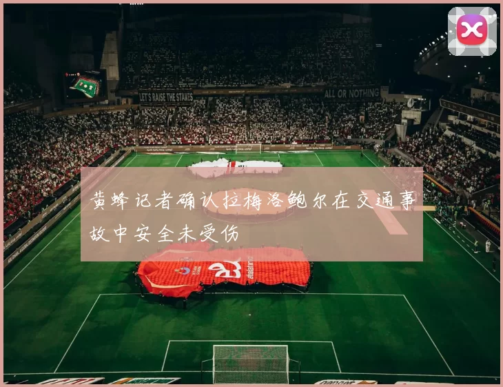 黄蜂记者确认拉梅洛鲍尔在交通事故中安全未受伤